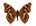 /PicturesNA/ButterflyLogos/Apatura_ilia_logo_36_26.png