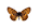 /PicturesNA/ButterflyLogos/Boloria_titania_logo_36_26.png