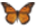 /PicturesNA/ButterflyLogos/Danaus_plexippus_logo_36_26.png