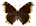 /PicturesNA/ButterflyLogos/Nymphalis_antiopa_lintnerii_logo_36_26.png