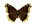 /PicturesNA/ButterflyLogos/Nymphalis_antiopa_yedaluna_logo_36_26.png