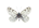 /PicturesNA/ButterflyLogos/Pontia_callidice_male_logo_36_26.png