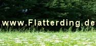 Flatterding