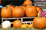 Mehr... » Links » Sonstiges
