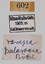 Bild von Label vergrößern