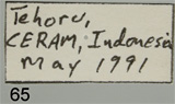 Bild von Label vergrößern