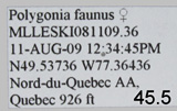 Bild von Label vergrößern