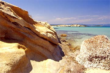 Karidi Beach (Chalkidiki); Fotograf: Ingo Daniels; Vourvourou, Chalkidiki, Griechenland (12. Mai 2004)