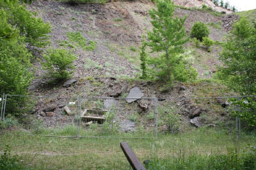 Habitat eines fotografierten Trauermantels (Nymphalis antiopa) (Steinbruch bei Alken)