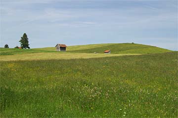 Altenau; Landschaft.; Fotograf: Ingo Daniels; Altenau, Bayern, Deutschland (15. Juni 2006) Altenau; Landschaft.; Fotograf: Ingo Daniels; Altenau, Bayern, Deutschland (15. Juni 2006)