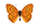 /PicturesNA/ButterflyLogos/Argynnis_laodice_male_logo_36_26.png