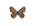 /PicturesNA/ButterflyLogos/Coenonympha_glycerion_male_logo_36_26.png