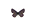 /PicturesNA/ButterflyLogos/Cupido_osiris_male_logo_36_26.png