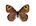 /PicturesNA/ButterflyLogos/Lasiommata_maera_logo_36_26.png
