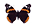 /PicturesNA/ButterflyLogos/vanessa_atalanta_logo_36_26.png