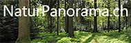 NaturPanorama.ch