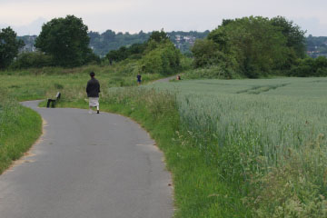 Meßdorfer Feld (Bonn) ohne Blühstreifen (2026) Meßdorfer Feld (Bonn) ohne Blühstreifen (2026)