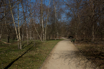 Habitat des Trauermantels (Nymphalis antiopa) im Botanischen Garten Berlin-Dahlem