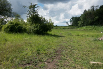 Am ehemaligen alten Sportplatz von Oberkassel